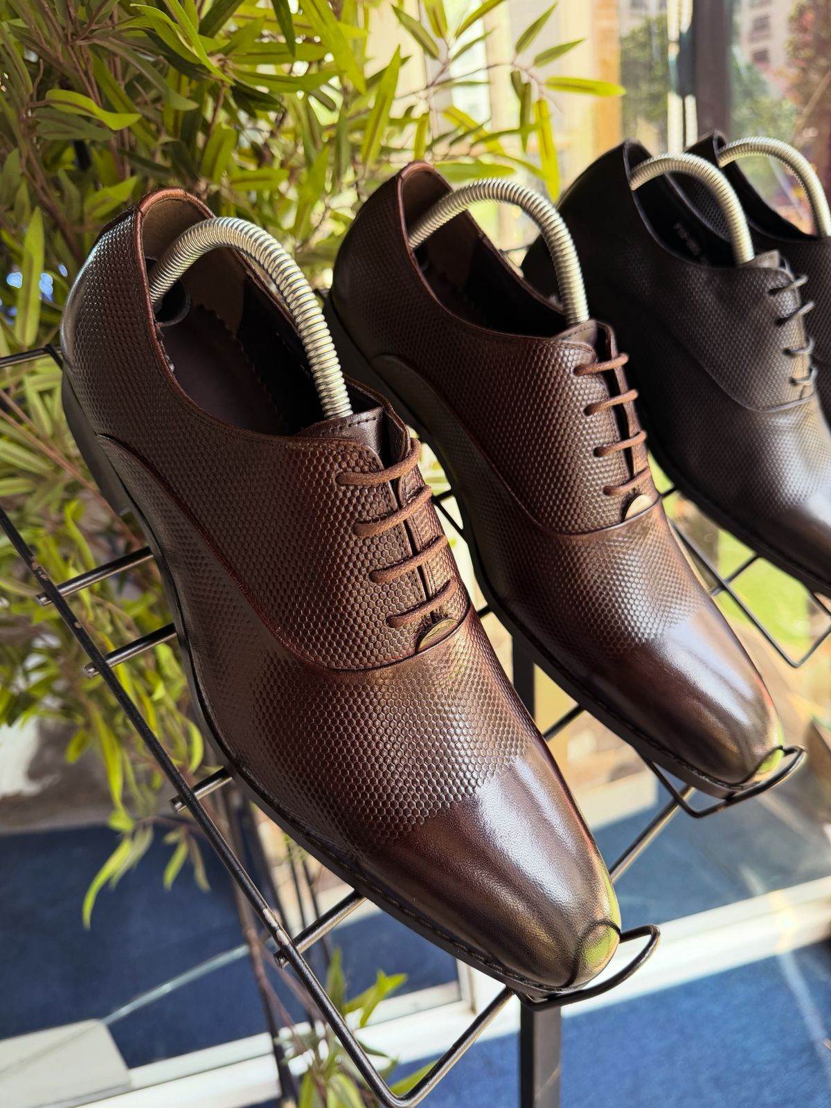 WhatsApp Image 2026 01 19 at 11.50.09